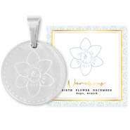 Mix & Match colgantes Acero Inox 15mm Flor de nacimiento Diciembre-Narciso Plateado