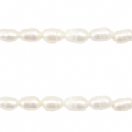 BQ Perlas de agua dulce grano de arroz 7x5mm Blanco natural