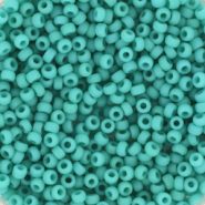 Rocalla Miyuki 11/0 Opaque matte turquoise green 11-412F
