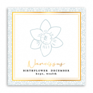 Tarjetas para joyería Flor de nacimiento Diciembre-Narciso Gris verdoso