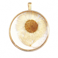 Colgantes con flores secas Dorado-beige
