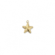 Colgantes Acero Inox estrella Dorado