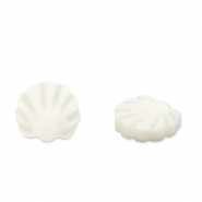 Abalorios conchas concha de venera Blanco (color natural)