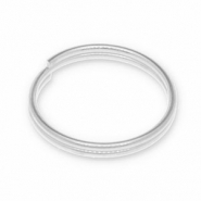 Fornituras metálicos DQ anillos dobles Plateado vieja (sin níquel)