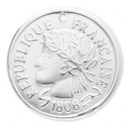 Colgantes Acero Inox moneda Plateado