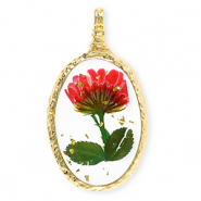 Colgantes con flores secas óvalo Dorado-rojo-verde