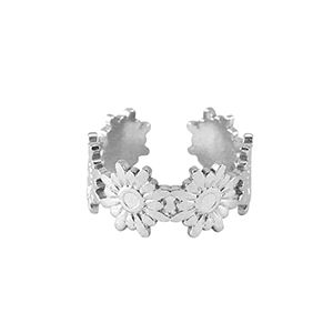Anillos Acero Inox Plateado