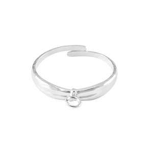Anillos Acero Inox con anilla Plateado