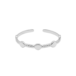Anillos Acero Inox Plateado