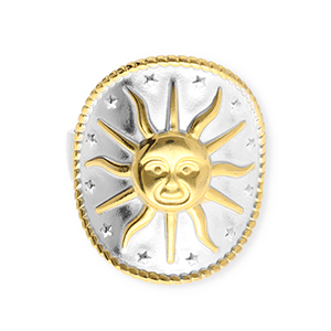 Anillos Acero Inox sol Plateado-dorado