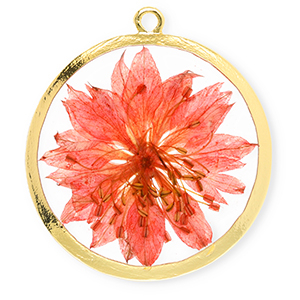 Colgantes con flores secas 34mm Dorado-rojo coral vivo