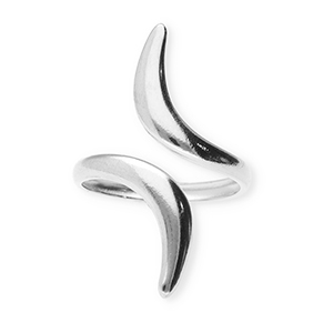 Anillos Acero Inox Plateado