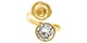 Anillos 